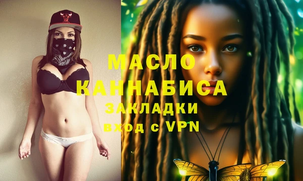 молекула духа Волоколамск